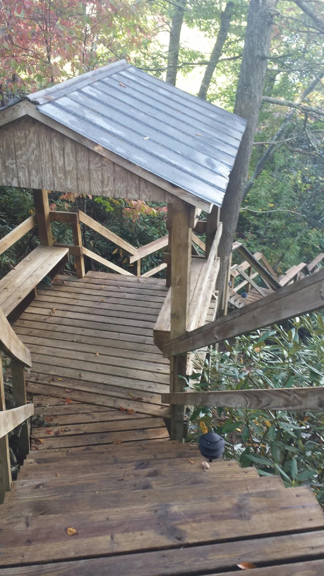 Metal roofed shelter over wooden steps on a wooded walkway — Skylight Repair & Installation work by our crew in Fort Thomas